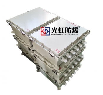 500X600X200粉尘防爆接线箱 防爆监控模块箱