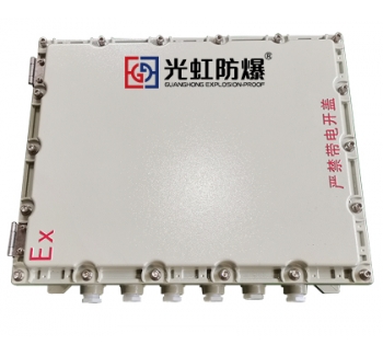 500X600X200粉尘防爆接线箱 防爆监控模块箱