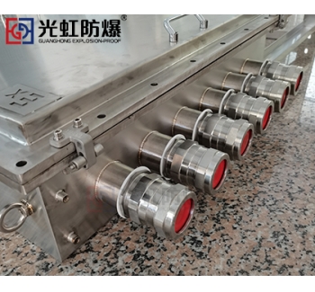 316不锈钢防爆接线箱 立式防爆防腐接线控制箱