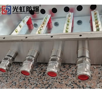 316不锈钢防爆接线箱 立式防爆防腐接线控制箱