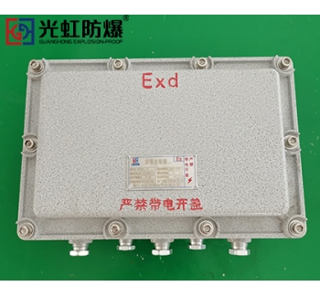 IIB隔爆型防爆接线端子箱空箱（IP54 T6）