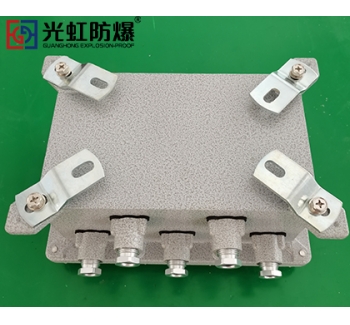 IIB隔爆型防爆接线端子箱空箱（IP54 T6）