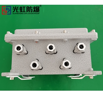 IIB隔爆型防爆接线端子箱空箱（IP54 T6）