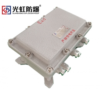 IIB隔爆型防爆接线端子箱空箱（IP54 T6）