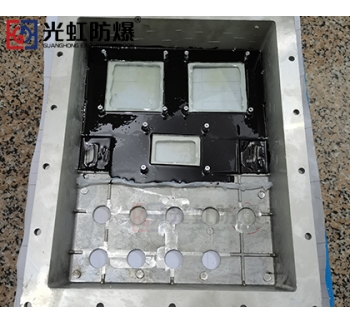 防爆仪表箱（带玻璃可视窗口）