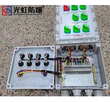 BXX-7K63XG化工厂防爆检修箱（带防爆插座）
