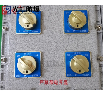 粉尘防爆配电箱 现场防爆动力配电箱