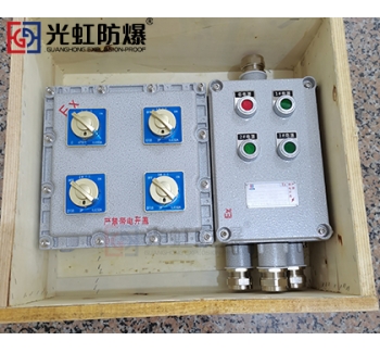 粉尘防爆配电箱 现场防爆动力配电箱