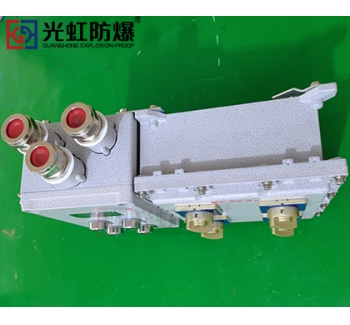 粉尘防爆配电箱 现场防爆动力配电箱