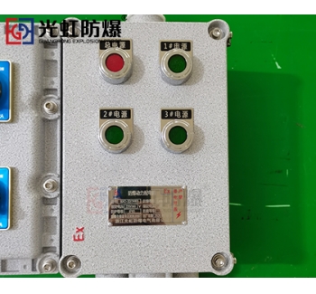 粉尘防爆配电箱 现场防爆动力配电箱