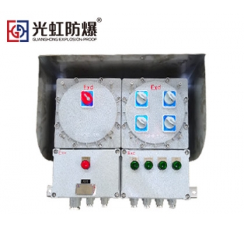 CT4/CT6防爆照明配电箱（户外壁挂式）