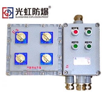 粉尘防爆配电箱 现场防爆动力配电箱