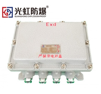 IIB隔爆型防爆接线端子箱空箱（IP54 T6）