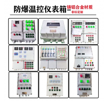 防爆温控仪表箱 电加热防爆温控箱带数显按键