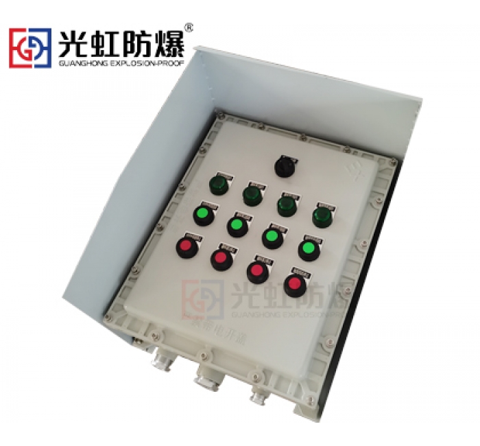 防爆控制箱（Exd IIBT6户外型）