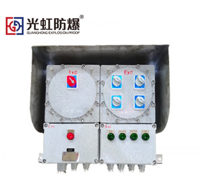 CT4/CT6防爆照明配电箱（户外壁挂式）